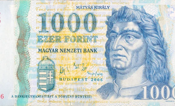 King Matyas Portrait on Hungary 1000 Forint 2006 Banknote fragment — Stock Photo, Image