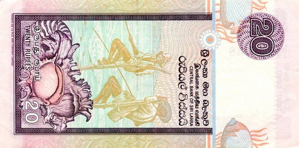 Фрагмент банкноты в 20 рупий Шри-Ланки является национальной валютой Шри-Ланки — стоковое фото