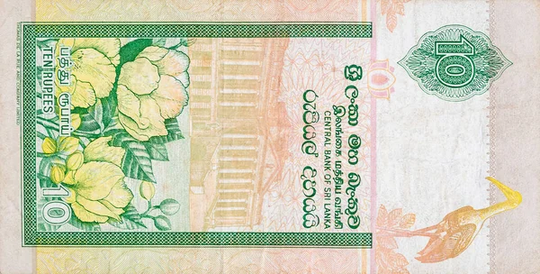 10 sri-lankische Rupien Geldschein farbige Banknotenfragment — Stockfoto