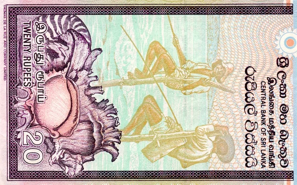 Sri Lanka 'nın 20 rupi' lik banknotu Sri Lanka 'nın ulusal para birimidir. — Stok fotoğraf