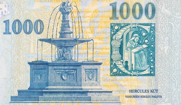 Visegrad königlicher Brunnen auf ungarischem 1000-Forint-Banknotenfragment 2006 — Stockfoto