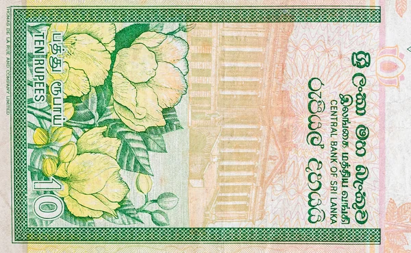 10 rupias de Sri Lanka billete de dinero fragmento de billete de color —  Fotos de Stock