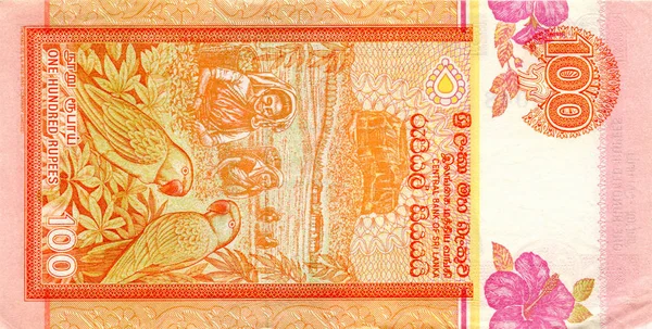 Fragment of 100 Sri Lanka rupees banknote is national currency of Sri Lanka — Stock Photo, Image