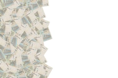 5 avroluk banknotun küçük kahverengi detaylarla yakın plan modeli