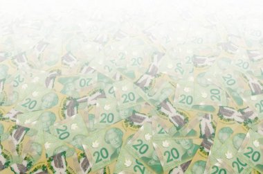 Majesteleri Kraliçe Il. Elizabeth Kanada 'dan 20 Dolar 2012 Polymer Banknotlar deseni