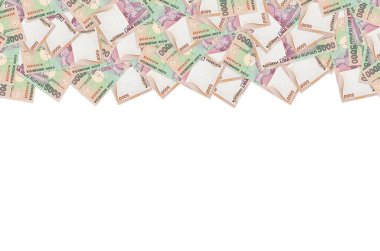 Endonezya 'daki kadın portresi 1000 rupiah banknot, Endonezya' nın eski para birimi