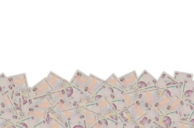 Türkiye 'den ünlü bilim tarihçisi Aydın Sayili Portresi 5 Lira 2009 Banknote