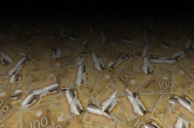 Kanada 'da diyabet tedavisinde insülin keşfi 100 dolar 2011 Polymer Banknotları