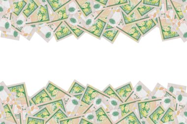 10 Sri Lanka rupisi. Para faturası. Renkli banknot modeli.