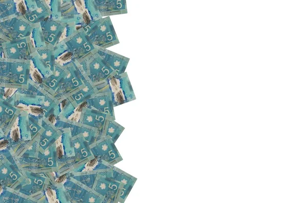 Dextre e canadarm2 sul Canada 5 Dollari 2013 Modello di banconote in polimero — Foto Stock