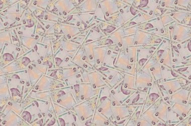 Türkiye 'den ünlü bilim tarihçisi Aydın Sayili Portresi 5 Lira 2009 Banknote