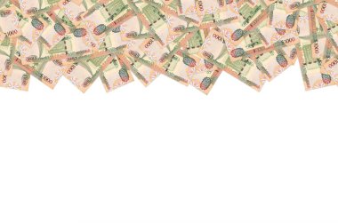 Kahverengi Guyana 'nın bir parçası 1000 dolarlık banknot deseni