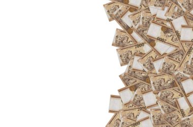 Gabor Bethlen, Macar 2000 Forints 2013 Banknote desenli Madarasz Viktor 'un bilim adamlarından bir resmi.