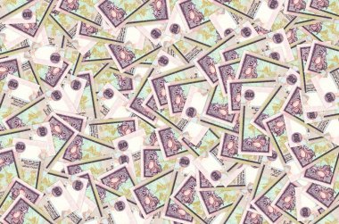 Sri Lanka banknotunun 20 Sri Lanka rupi modeli Sri Lanka 'nın ulusal para birimidir