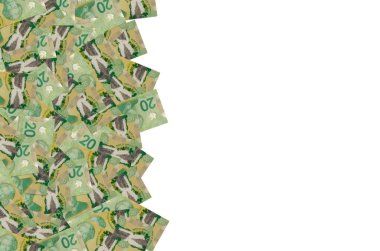 Majesteleri Kraliçe Il. Elizabeth Kanada 'dan 20 Dolar 2012 Polymer Banknotlar deseni