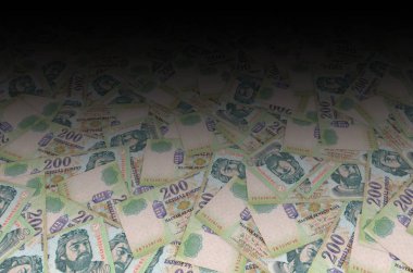 Kral Robert Macaristan Portresi 1000 Forint 2006 Banknote Yakın plan