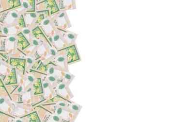 10 Sri Lanka rupisi. Para faturası. Renkli banknot modeli.