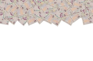 Türkiye 'den ünlü bilim tarihçisi Aydın Sayili Portresi 5 Lira 2009 Banknote
