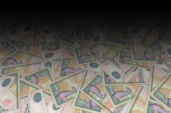 1000 Sri Lankan rupees money bill colored banknote — Stock Photo, Image