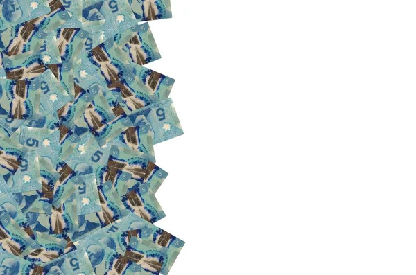 Sir Wilfrid Laurier Ritratto dal Canada 5 Dollari 2013 Modello di banconote in polimero — Foto Stock