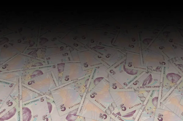 Türkiye 'den ünlü bilim tarihçisi Aydın Sayili Portresi 5 Lira 2009 Banknote — Stok fotoğraf