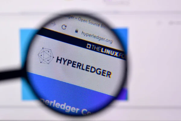 Ny, Usa - 29. Februar 2020: Homepage der Hyper Ledger-Website auf der Anzeige von Pc, url - hyperledger.org. — Stockbild Usa Februar 2020 Homepage Der Hyper Ledger Website Auf Der — Stockfoto