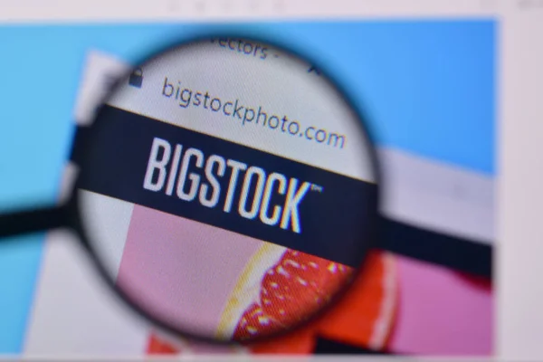 Usa Února 2020 Internetové Stránky Bigstockphoto Displeji Url Bigstockphoto Com — Stock fotografie