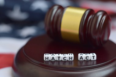 Adalet tokmağı ve Hatch karakterleri arka planda ABD bayrağıyla yaklaşırken
