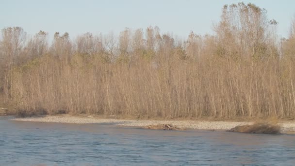 Πανοραμική Θέα Του Ποταμού Ticino Χειμώνα — Αρχείο Βίντεο