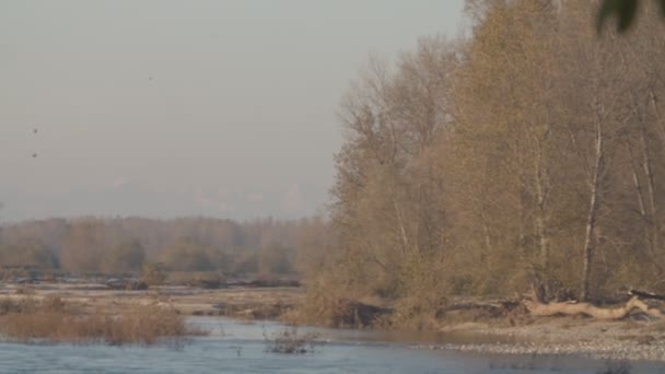 Ticino Nehri Nin Kışın Panoramik Manzarası — Stok video