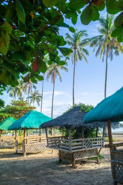Tropikal manzaranın güzel manzarası