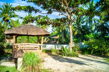 Tropikal manzaranın güzel manzarası