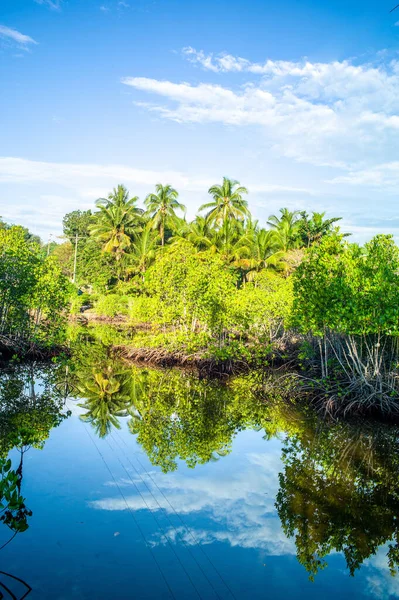 Prachtig Uitzicht Het Tropische Landschap — Stockfoto