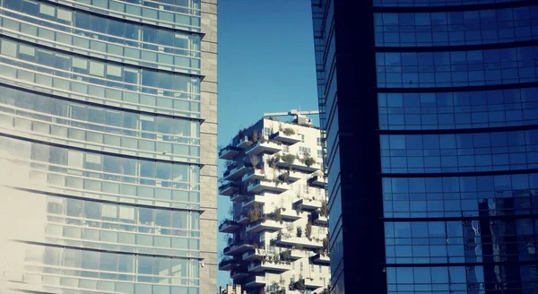 Grattacielo bosco verticale a Milano — Foto Stock