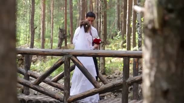 Hochzeitspaar in einem Kiefernwald. — Stockvideo
