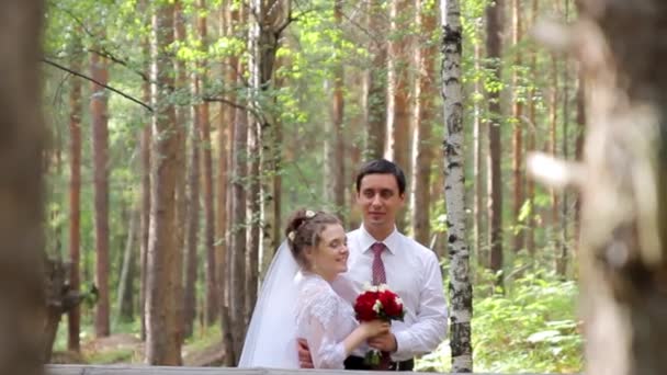 Hochzeitspaar in einem Kiefernwald. — Stockvideo