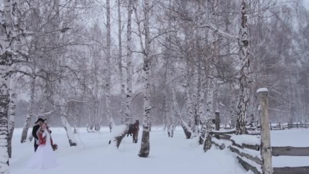 La novia y el novio de pie en el bosque en invierno. De pie junto a un caballo . — Vídeo de stock