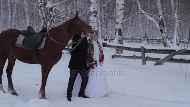 La novia y el novio de pie en el bosque en invierno. De pie junto a un caballo . — Vídeos de Stock