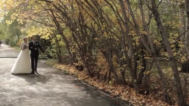 Das Brautpaar spaziert durch den Park. Händchenhaltend. Gespräche. — Stockvideo