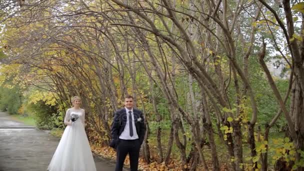 La novia se acerca al novio y los abrazos. paisaje de otoño. Arco de árboles . — Vídeos de Stock