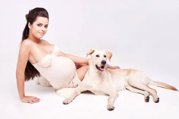 孕妇和她的狗在家里 — 图库照片