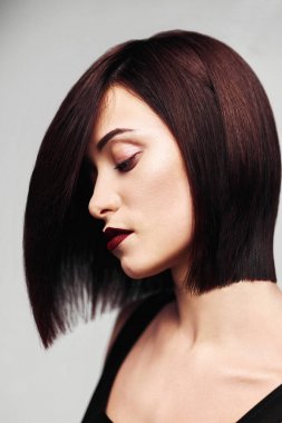 Mükemmel uzun parlak Kahverengi saç modeli. Yakın çekim Bob saç kesimi portre
