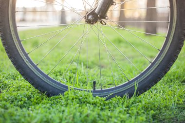 Dağ bisikleti tekerlek bahar Caddesi üzerinde yeşil çimenlerin üzerinde