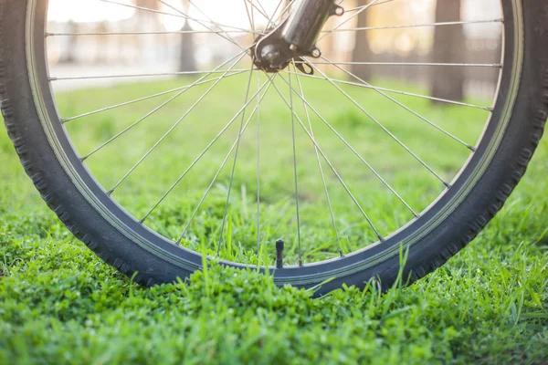 春天的街道上绿草上的山地自行车轮 — 图库照片