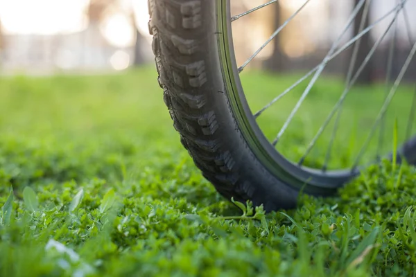 Roue Vélo Montagne Sur Herbe Verte Dans Rue Printemps — Photo