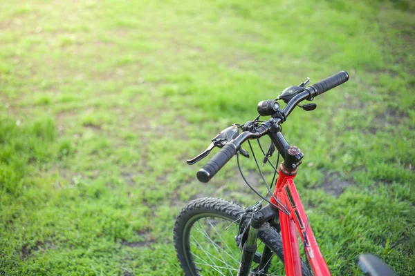 Mountainbike Roter Farbe Mit Schwarzem Ruder Auf Grünem Gras — Stockfoto