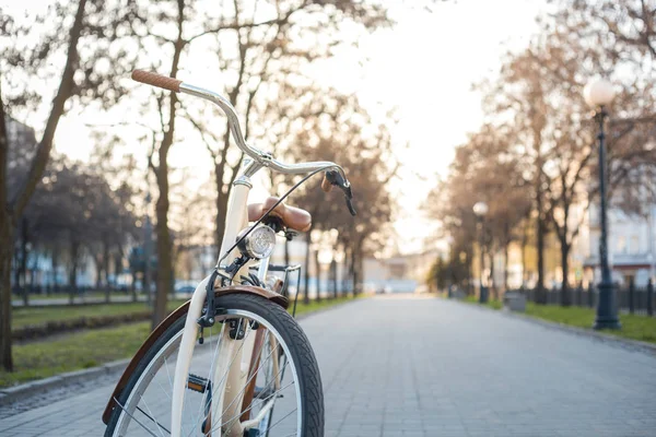 Fahrrad Beiger Farbe Mit Laterne Auf Einer Allee Mit Grünem — Stockfoto
