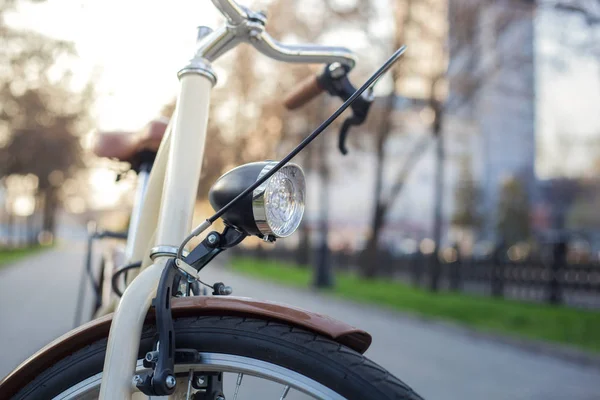 Fahrrad Beiger Farbe Mit Laterne Auf Einer Allee Mit Grünem — Stockfoto