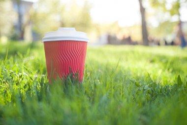 Kırmızı kağıt bardak yeşil çim çimen Tarih kahve için beyaz kapaklı