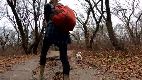 Dziewczyna Psem Jack Russell Terrier Spaceruje Jesienią Ścieżką Parku — Wideo stockowe